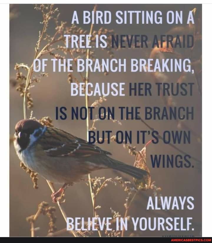 _ABJRD SITTING ON K
BREAKING,
BECAUSE
ALWAYS
LIVE 'IN YOURSELF.