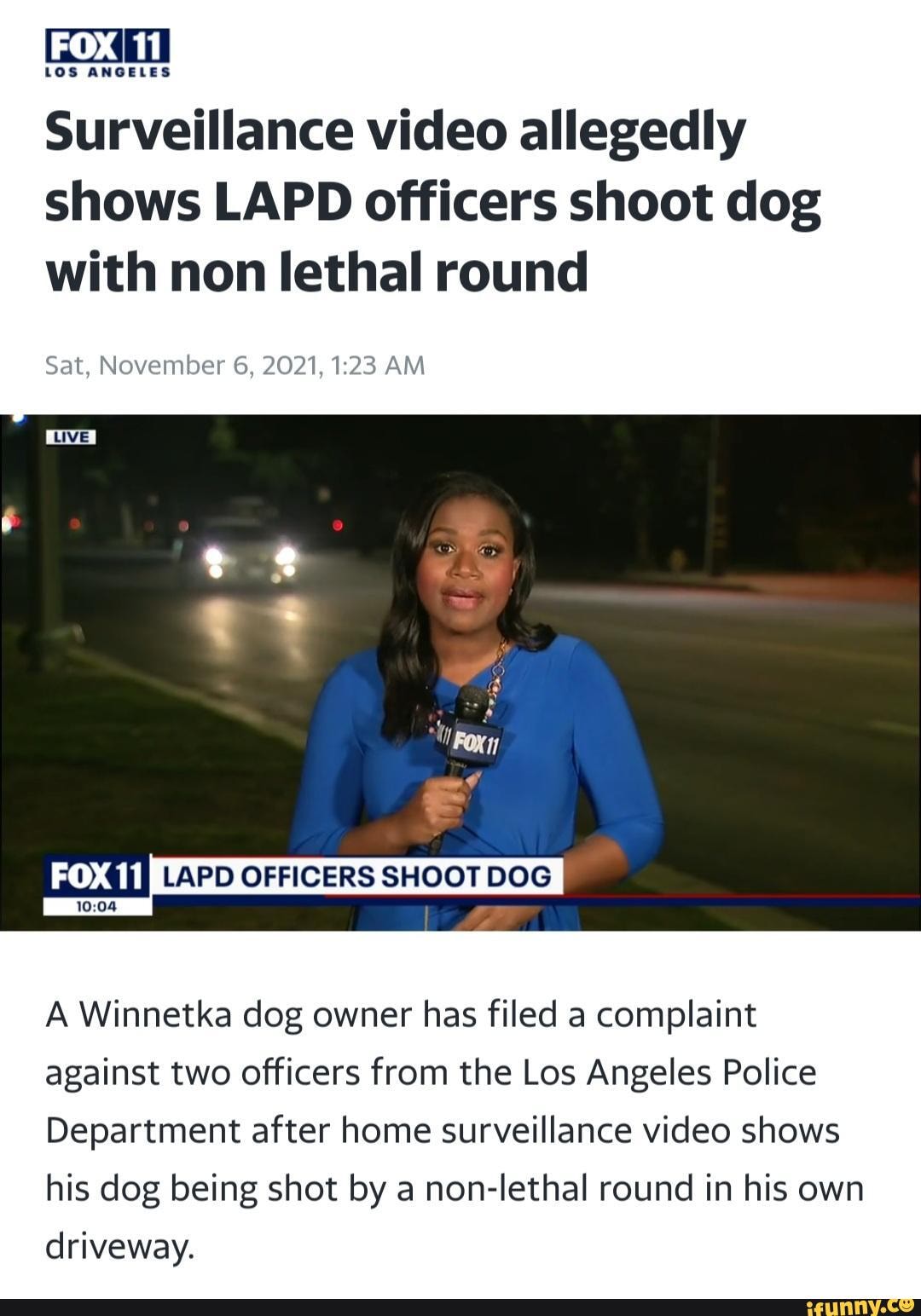 LOS ANGELES Surveillance video allegedly shows LAPD officers shoot dog