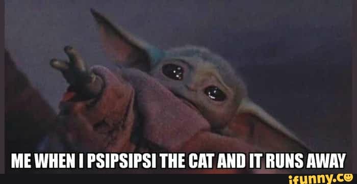 ME WHEN I PSIPSIPSI THE CAT AND IT RUNS AWAY
