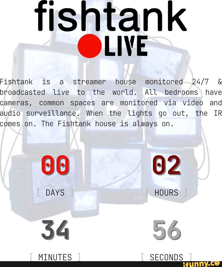 Tisntank LIVE Fishtank is a streamer house monitored & broadcasted