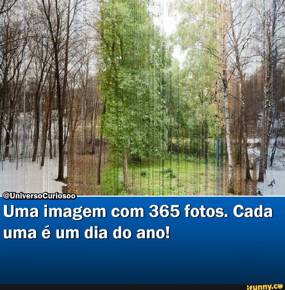 as
Uma imagem com 365 fotos, Cada uma é um dia do ano!