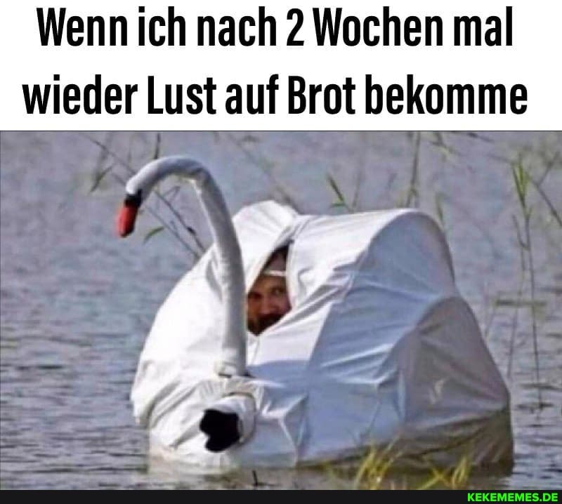 Wenn ich nach 2 Wochen mal wieder Lust auf Brot bekomme