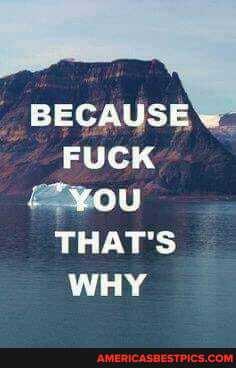 BECAUSE
FUCK
"yow
THAT'S WHY