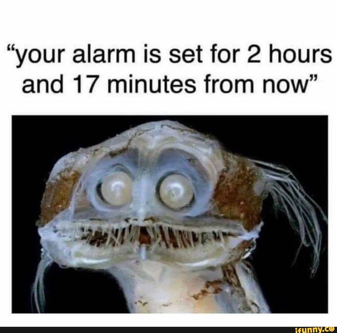 your-alarm-is-set-for-2-hours-and-17-minutes-from-now-ifunny