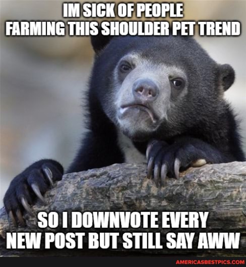 IM SICK OF PEOPLE FARMING THIS SHOULDER PET TREND
DOWNVOTE EVERY NEW POST BIIT STILT SAY