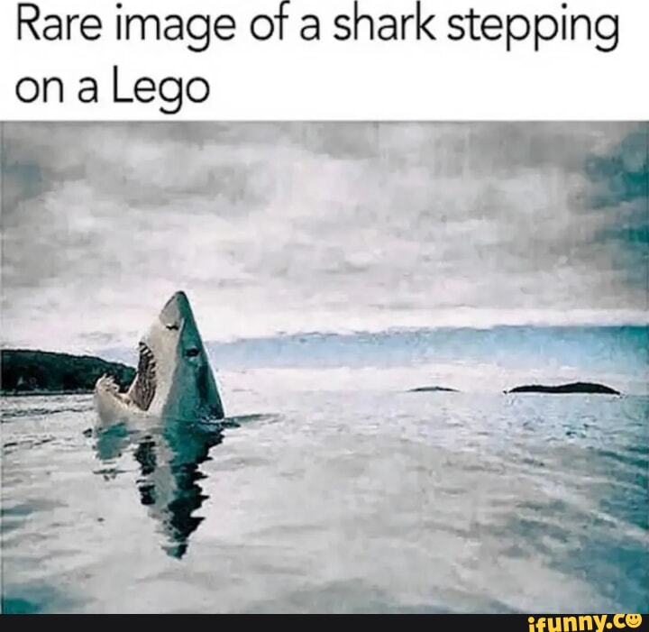 Shark Stepping On Lego Meaning at Hodge blog