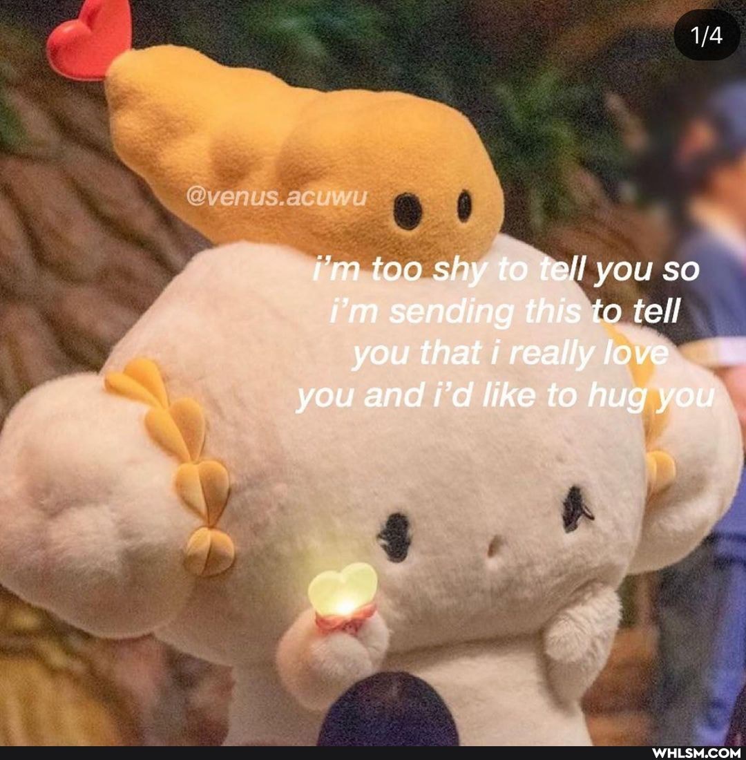 i'm too shy to tell you so i'm sending this to tell you that i really love you and i'd like to hug you