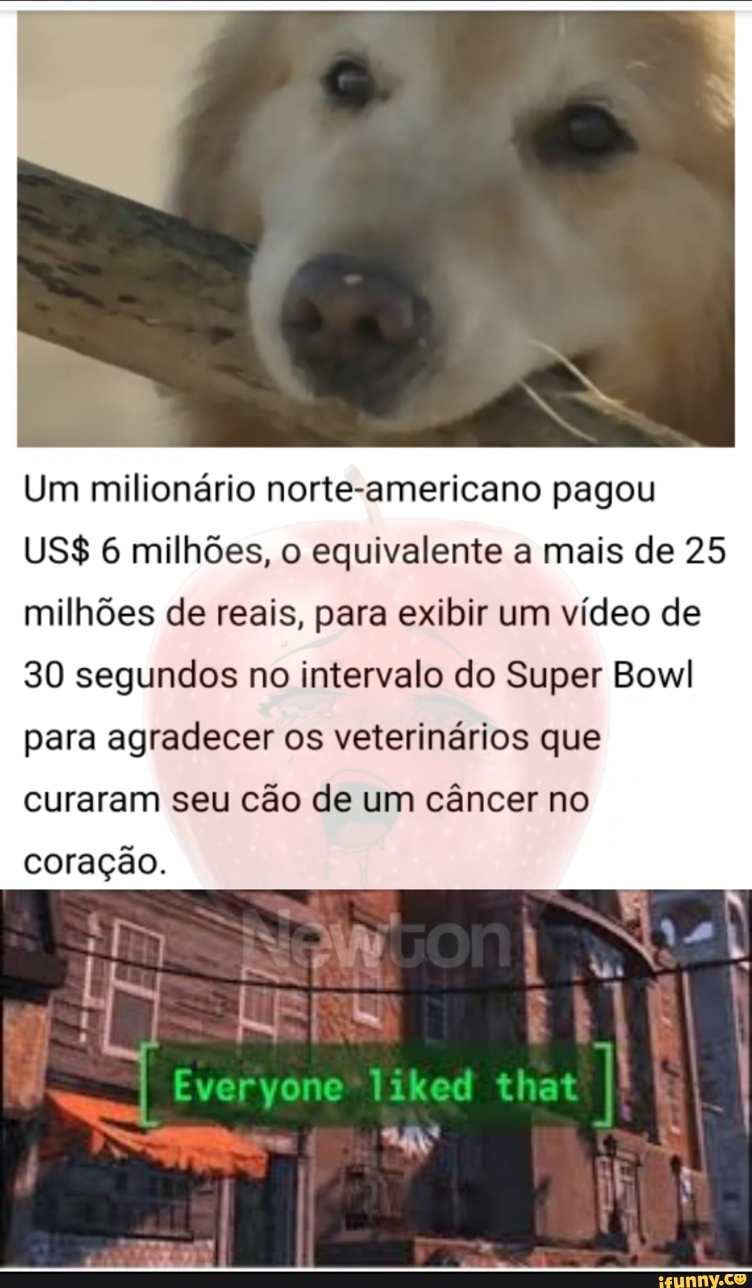 Um milionário norte-americano pagou
US$ 6 milhões, o equivalente a mais de 25 milhões de reais, para exibir um vídeo de
30 segundos no intervalo do Super Bowl
para agradecer os veterinários que
curaram seu cão de um câncer no
coração.