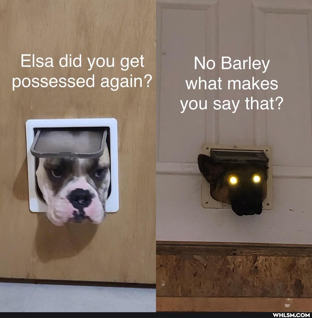 Elsa did you get No Barley possessed again? what makes you say that?