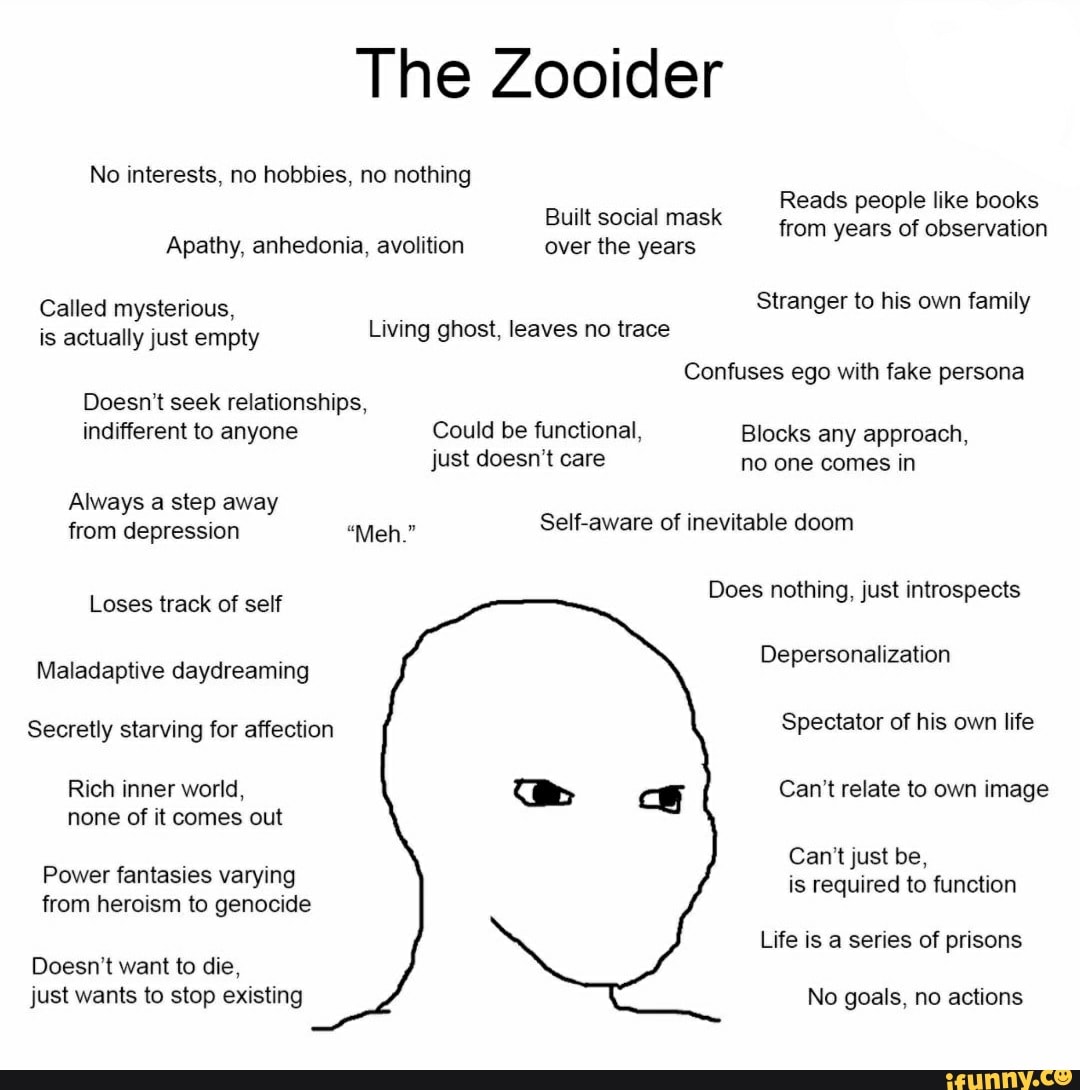 Zooider memes. Best Collection of funny Zooider pictures on iFunny