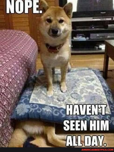 NOPE.
WAVEN'T SEEN HIM
Aad PRY