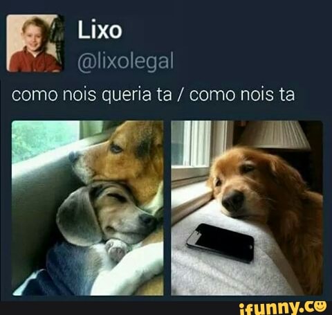 x @lixolegal
como nois queria ta como nois ta