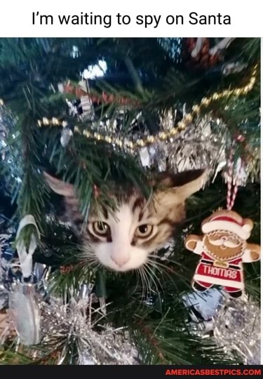 I'm waiting to spy on Santa