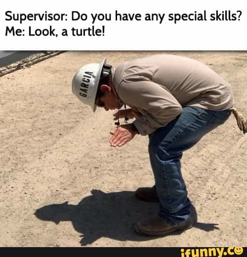 Supervisor: Do you have any special skills?
Me: Look, a turtle!