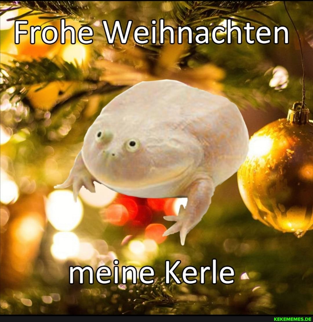 "Frohe Weihnachten
meime Kerle