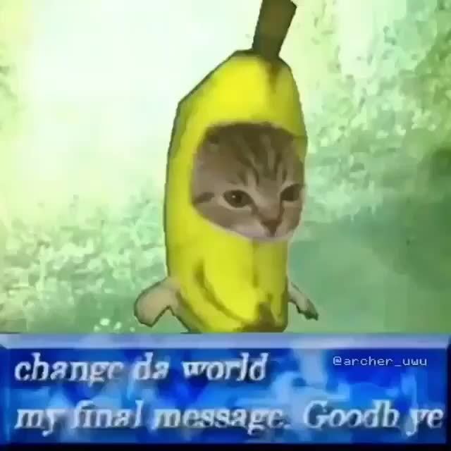 Change Da World My Final Message Goodbye Flash