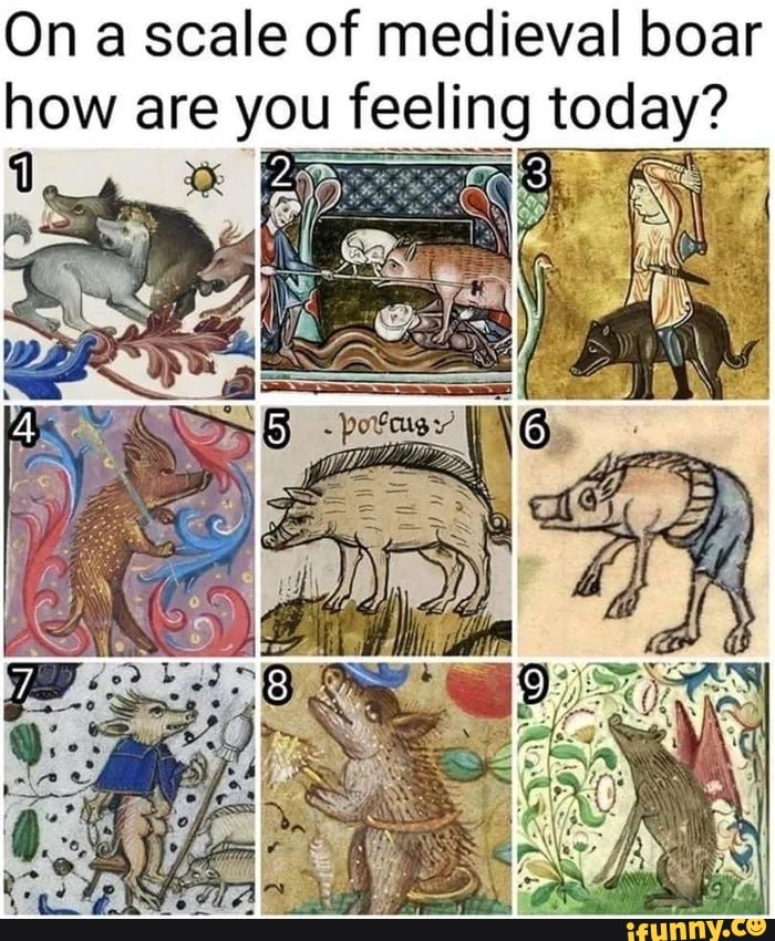 Ns On A Scale Of Medieval Boar How Are You Feeling Today