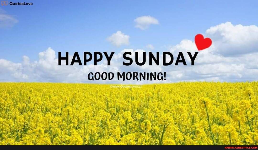 Good Morning Have A Great Sunday Happy Sunday Good Morning America S Best Pics And Videos