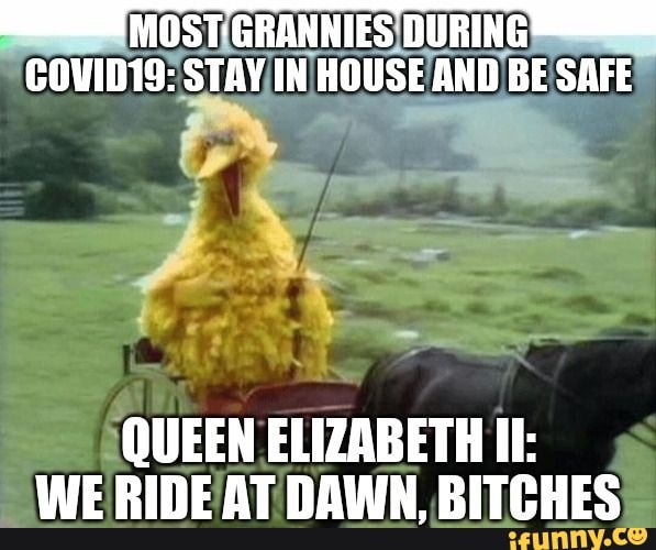 GRANNIES DURING COVID19: STAY IN HOUSE AND BE SAFE
QUEEN ELIZABETH II:
WE RIDE AT DAWN, BITCHES