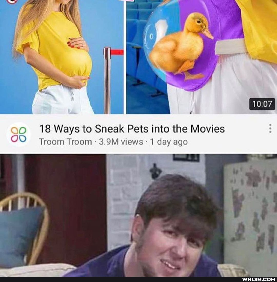 18 Ways to Sneak Pets into the Movies
Troom Troom OM views Gay ago