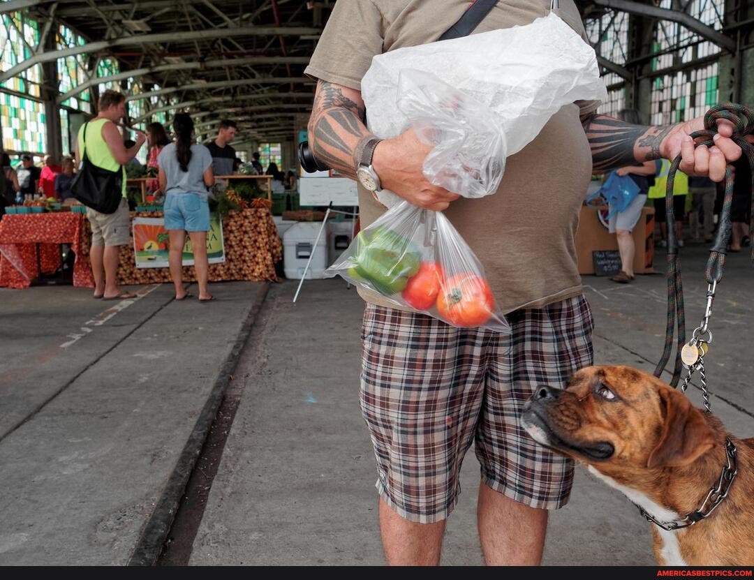 psbattle, dog, staring, fruits