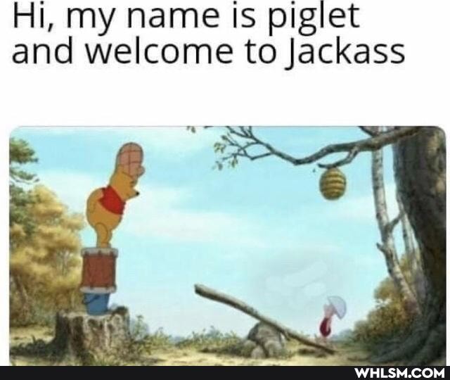 Hi, my name Is piglet and welcome to Jackass