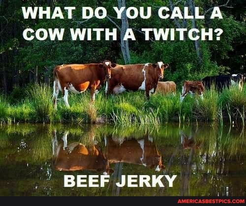 WHAT DO YOU CALL A..
COW WITH A TWITCH?
BEEF JERKY
