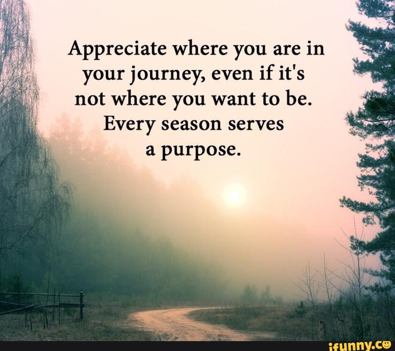 Every season serves a purpose. Appreciate where you are in . your journey,  even if it's not where you want to be. - iFunny :)