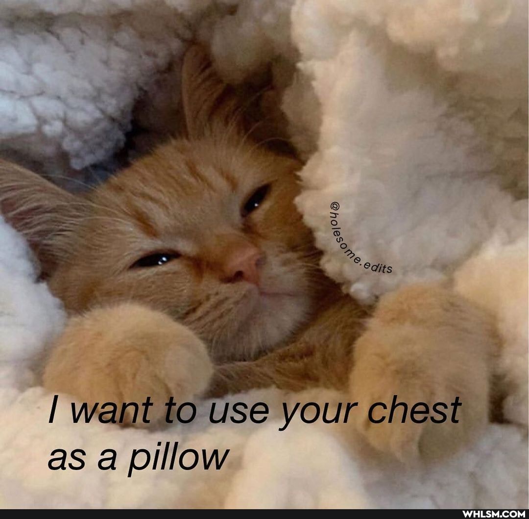 I want to use your chest as pillow