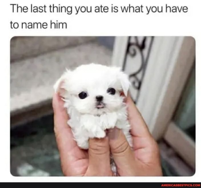 The last thing you ate is what you have to name him