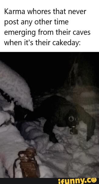 Karma whores that never post any other time
emerging from their caves when it's their cakeday:
