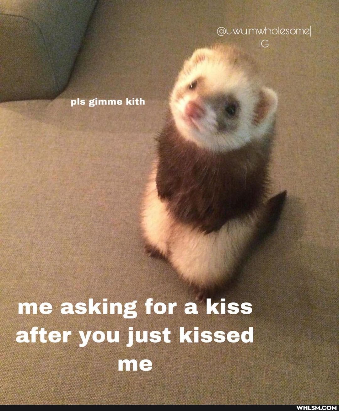 pls gimme kith
me asking for a kiss after you just kissed me