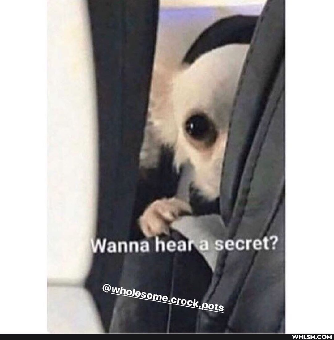 he wanna \