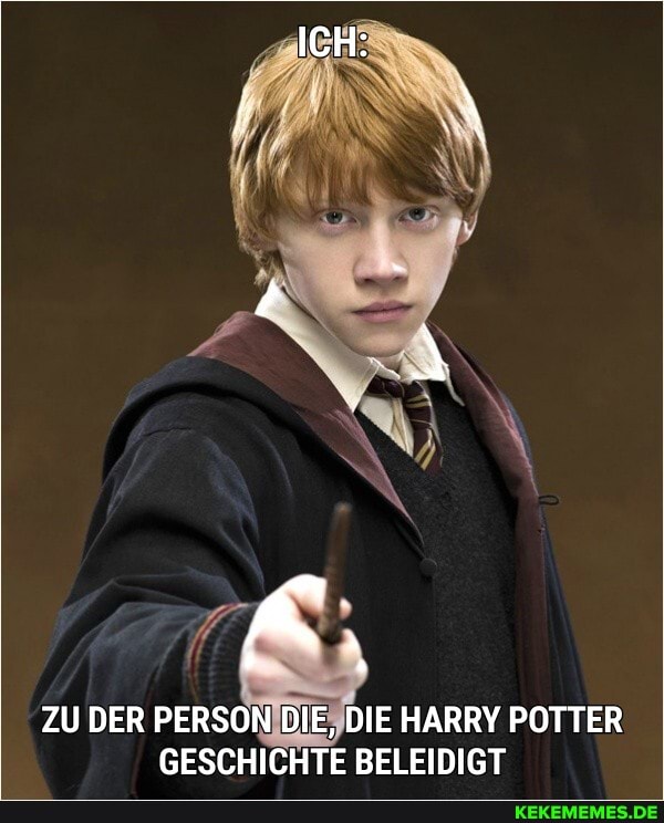 ICH:
ZU DER PERSON DIE, DIE HARRY POTTER GESCHICHTE BELEIDIGT