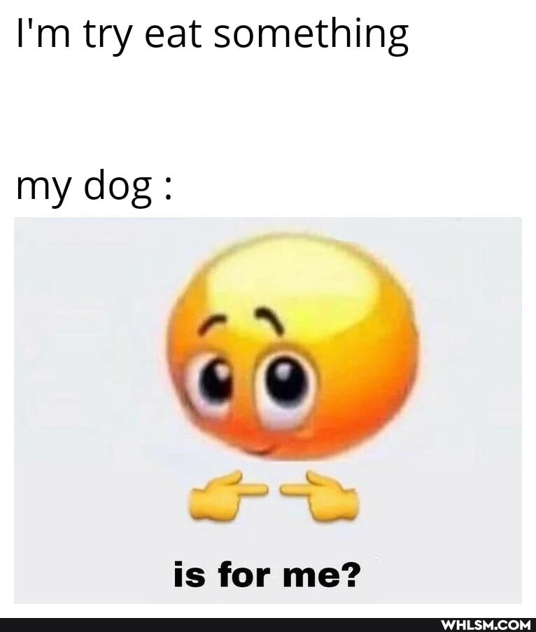 I'm try eat something
my dog:
is for me?