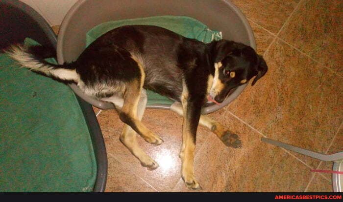 reason, prefers, small, bed, bigger
