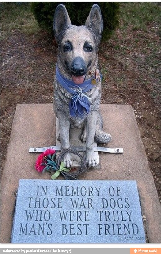 i IN MEMORY OF. CSN
THOSE WAR DOGS EN
WHO WERE TRULY Y
I
MANS BEST FRIEND