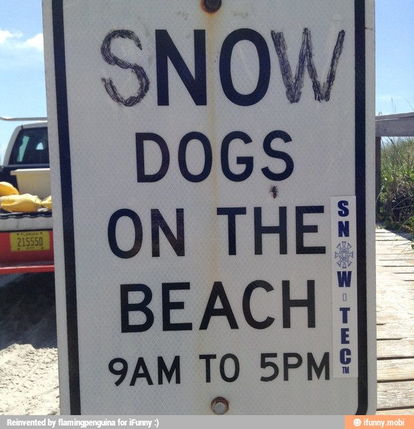 BI DOGS II.
I ON THE:Iº
I BEACH: