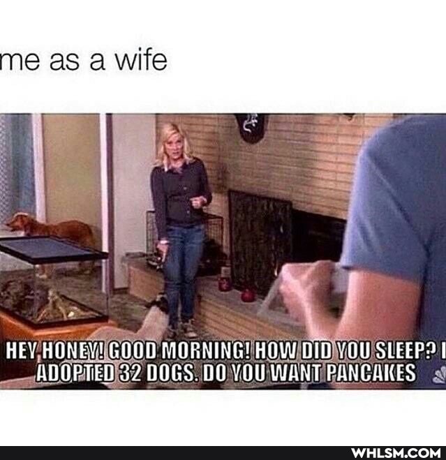 me as wife
HEY HONEY! GOO0 MORNING! HOW DID-YOU SLEEP?
ADOPTED 32 DOGS. 00 YOU WART PANCAKES