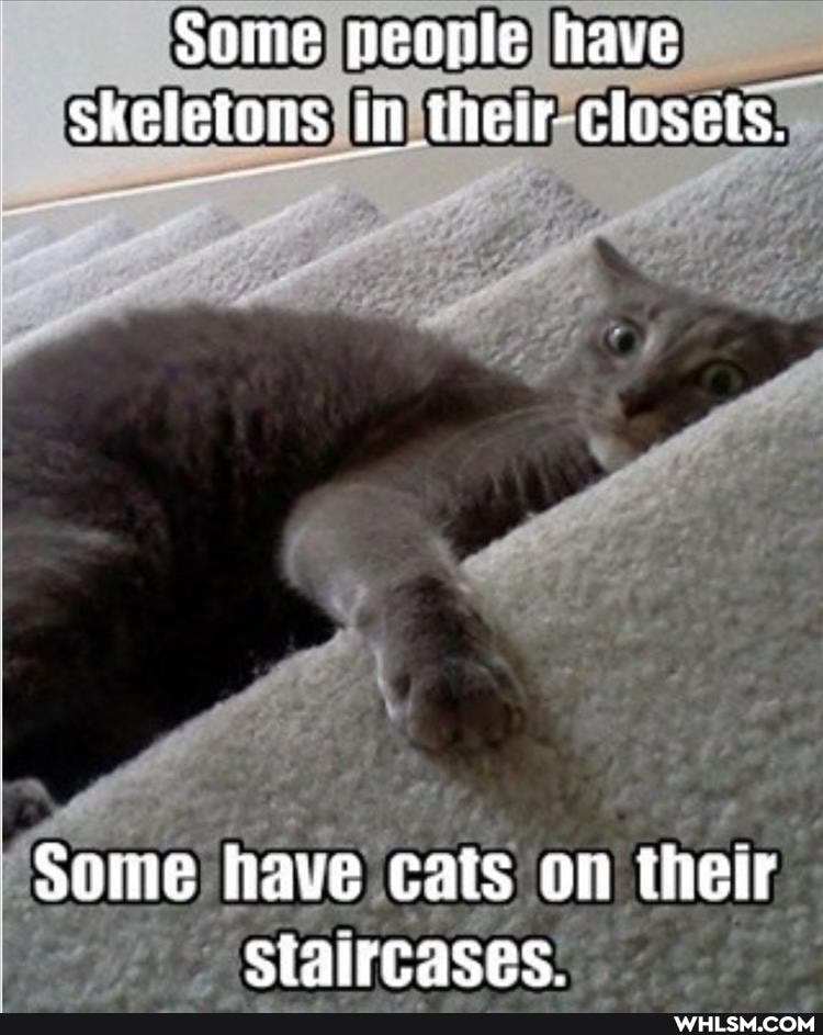 some peonle have
Skeletons their closets.
Some have cats on their stalrcases.