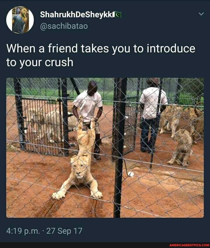 ShahrukhDeSheykkfc'
@sachibatao
When a friend takes you to introduce to your crush
p.m. 27 Sep 17