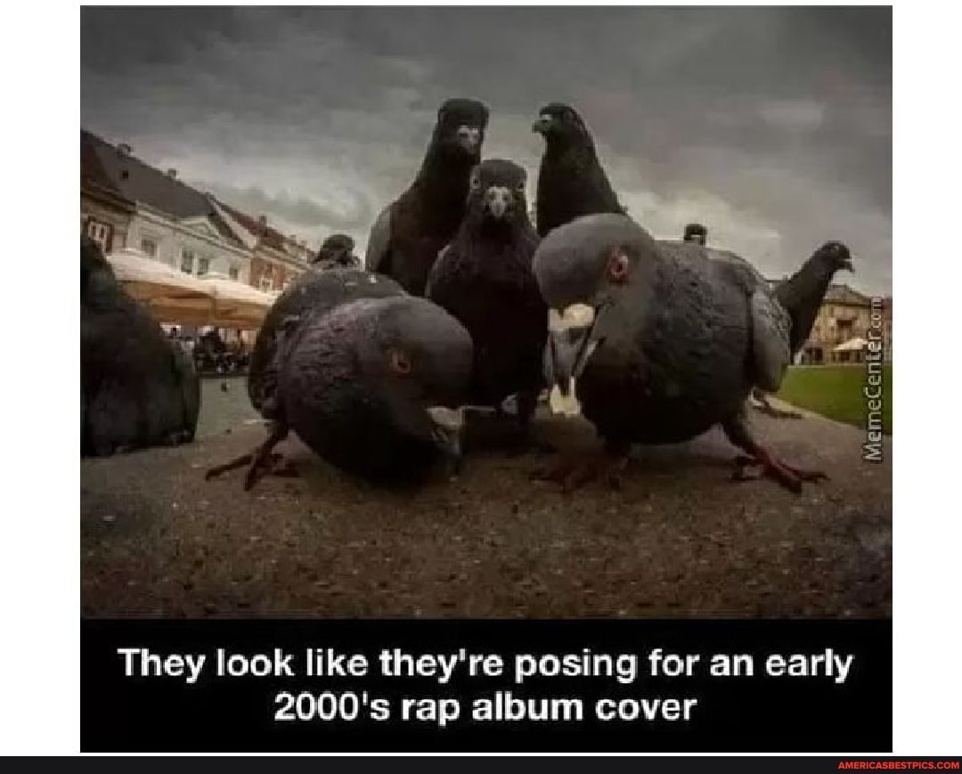 They look like they're posing for an early
2000's rap album cover