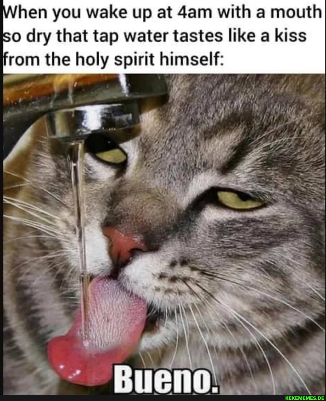 hen you wake up at with a mouth
so dry that tap water tastes like a kiss rom the holy spirit himself: