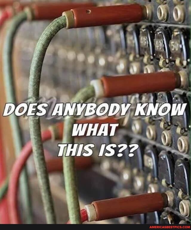 DOES ANYBCPY KNOW WHAT THIS ?