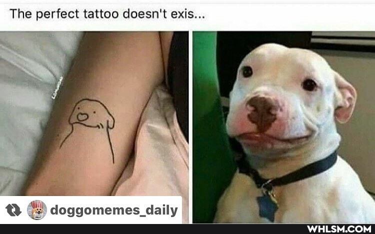 The perfect tattoo doesn't exis...
doggamemes daily