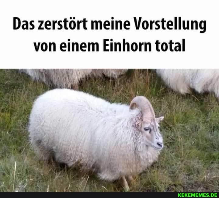 Das zerstört meine Vorstellung von einem Einhorn total