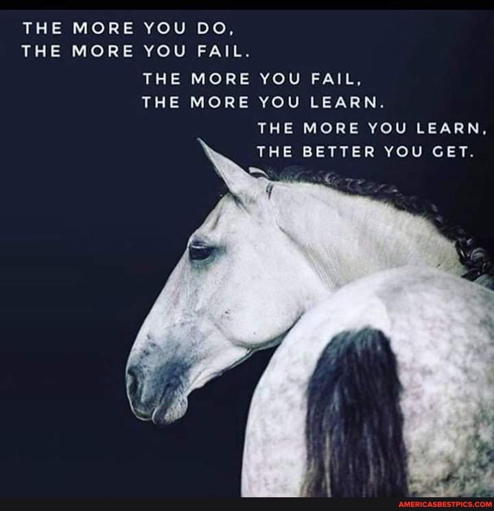 THE MORE YOU DO,
THE MORE YOU FAIL.
THE MORE YOU FAIL,
THE MORE YOU LEARN.
THE MORE YOU LEARN,
THE BETTER YOU GET.
New