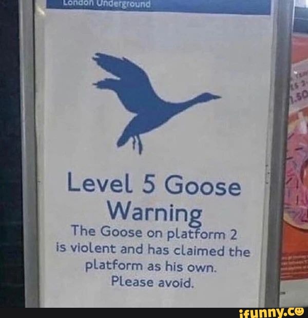Level 5 Goose Warning tform 2 The Goose on pla is violent and has