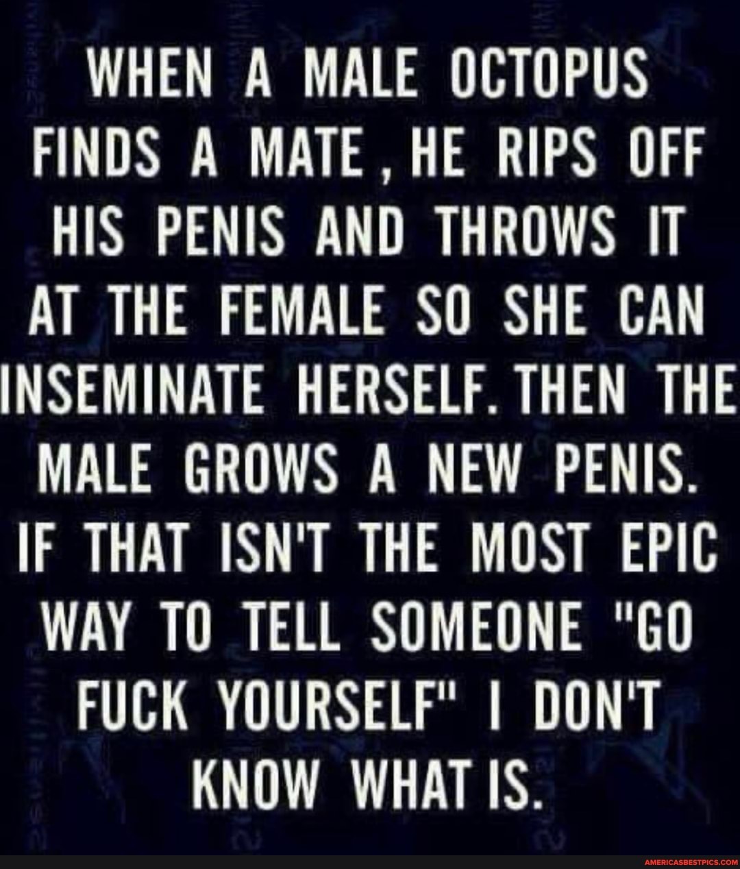WHEN A MALE OCTOPUS FINDS A MATE, HE RIPS OFF HIS PENIS AND THROWS IT