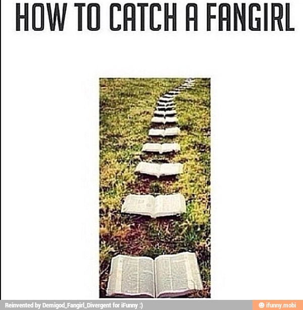 HOW TO CATCH A FANGIRL